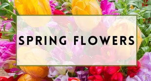 Flower Delivery to Port St Lucie by Flowers by Susan - Port St. Lucie Flower Delivery